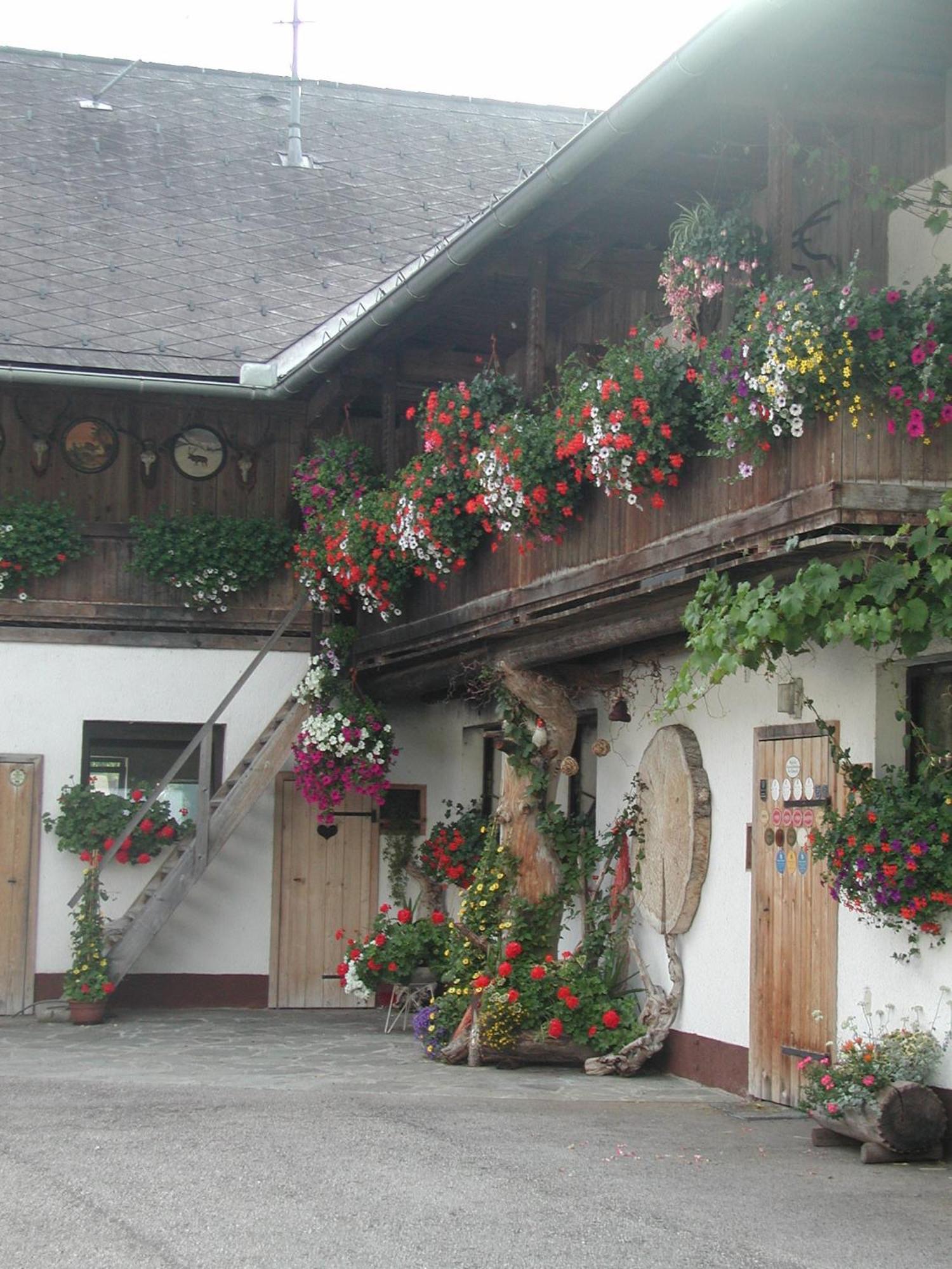 Ferienhof Unterfuehrholzergut Klaus an der Pyhrnbahn Luaran gambar