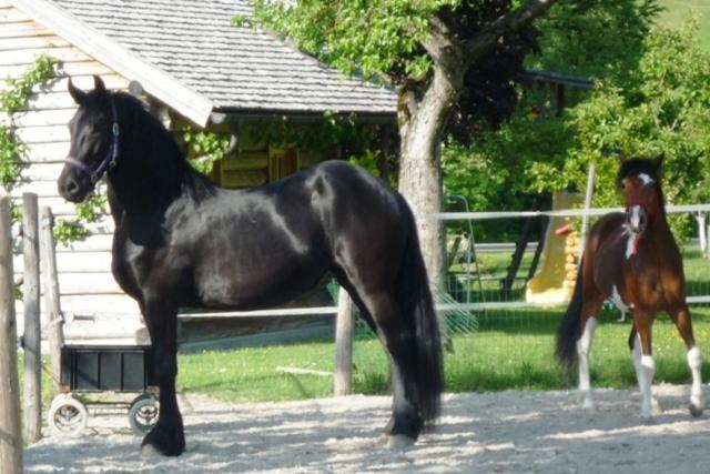 Ferienhof Unterfuehrholzergut Klaus an der Pyhrnbahn Luaran gambar