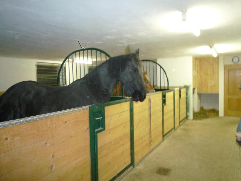Ferienhof Unterfuehrholzergut Klaus an der Pyhrnbahn Luaran gambar